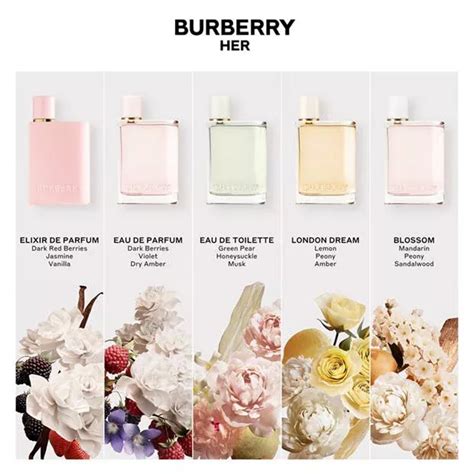 burberry her eau de toilette dupe|Burberry Her perfume walmart.